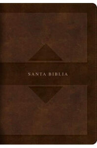 Biblia RVR 1960 Letra Grande Tamaño Manual Edicion Tierra Santa Café Símil Piel