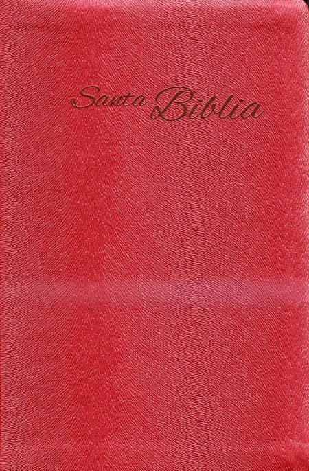 Santa Biblia [Biblia]