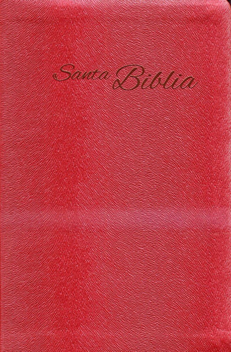 Santa Biblia [Biblia]