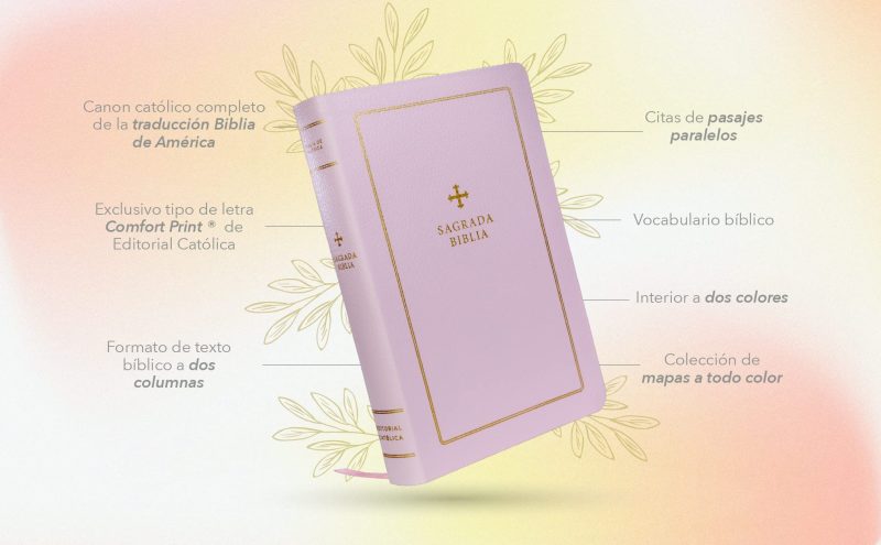 Biblia Católica Rosa 9781400238088 - Image 2