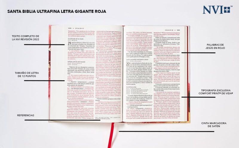 Biblia NVI Letra Grande Tapa Dura - Image 2