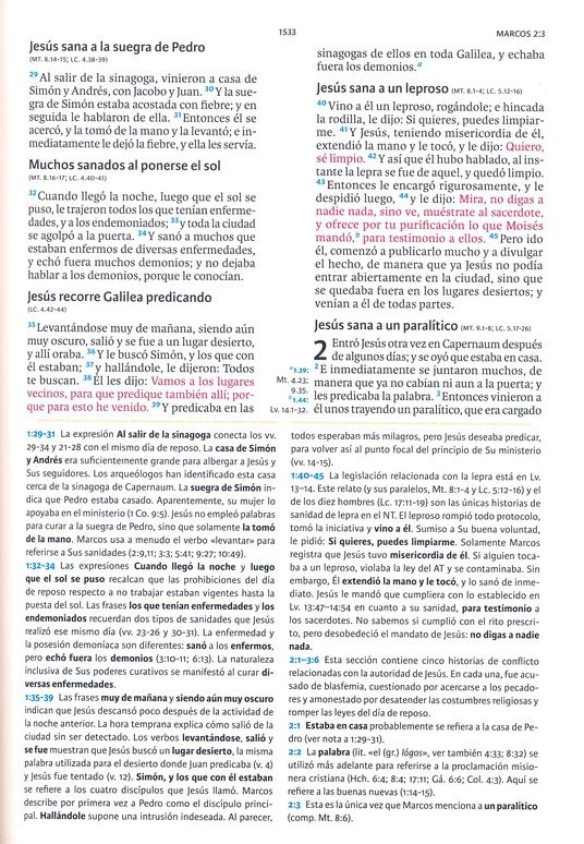 RVR1960/De Estudio Holman/Café 2 RVR1960/De Estudio Holman/Café - Image 2