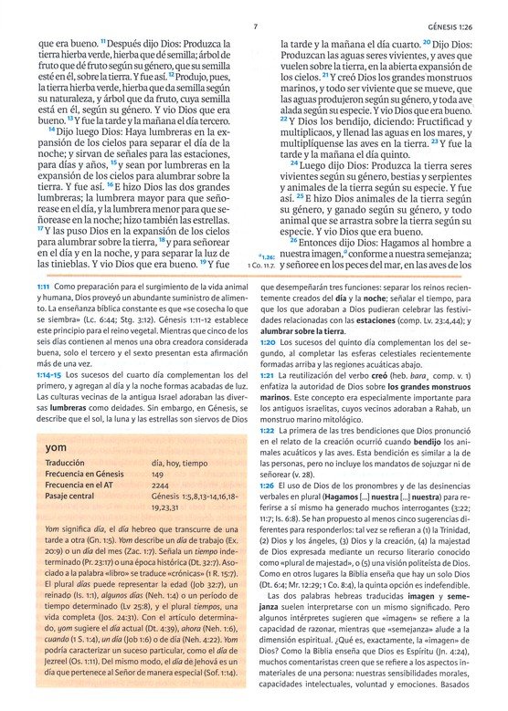 RVR1960/De Estudio Holman/Café 3 RVR1960/De Estudio Holman/Café - Image 3