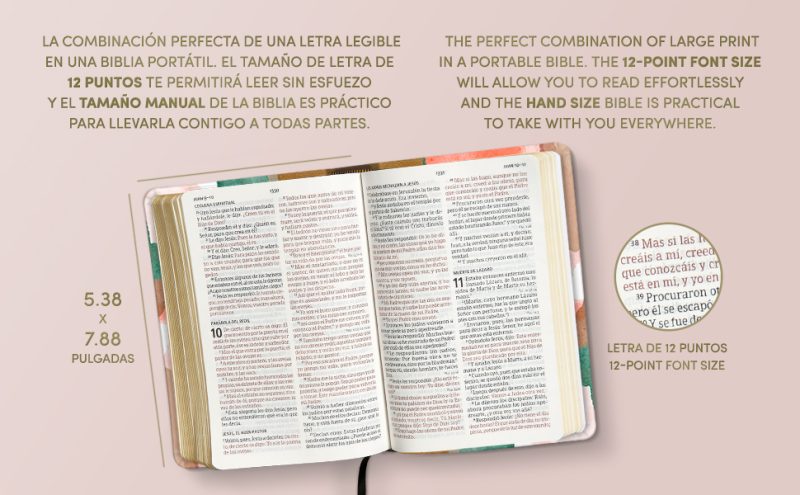 Biblia RVR 1960 Letra Grande Tamaño Manual Multicolor Símil Piel - Image 2