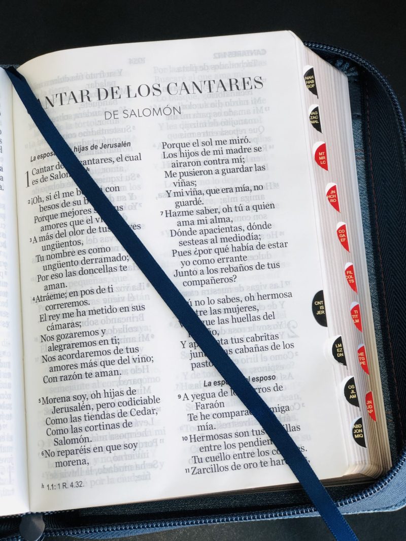Biblia Compacta RV60/ Tela en Jean/ 11 puntos - Image 3