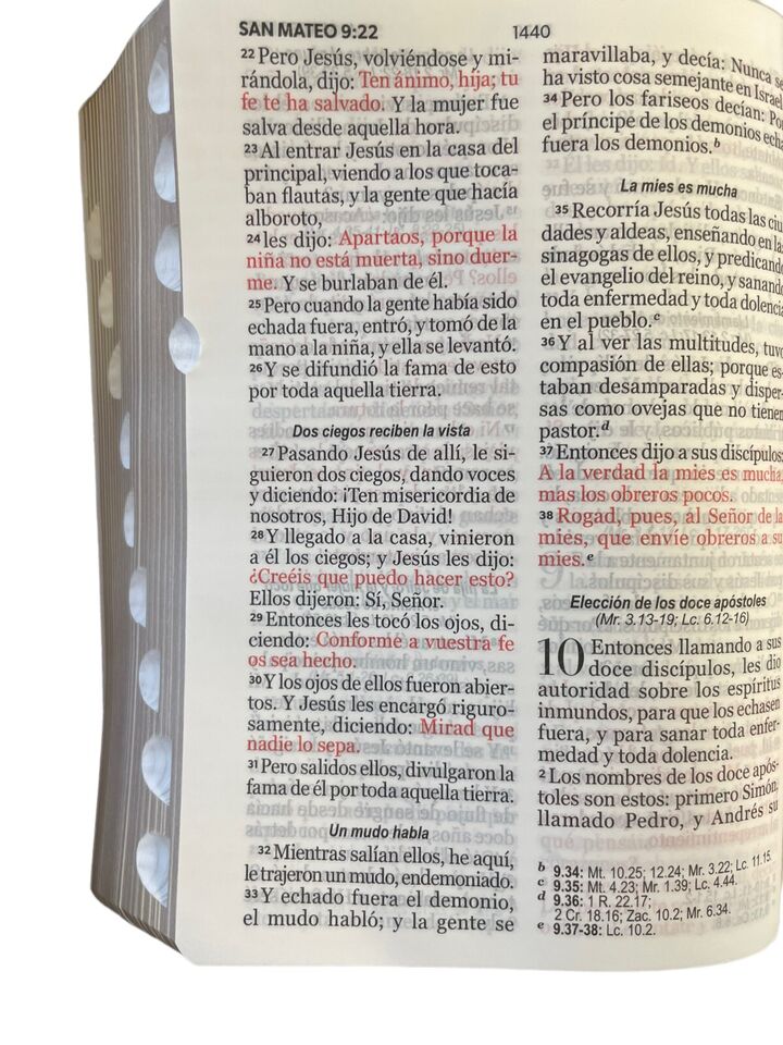 RVR60 Biblia Jean cinturón negro tamaño manual LG 3 RVR60 Biblia Jean cinturón negro tamaño manual LG - Image 3