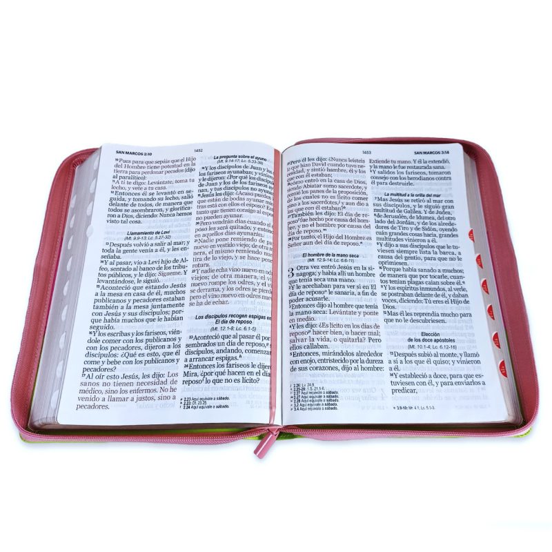 Biblia RVR60/Letra Super Gigante/ Tricolor Rosa/Fucsia/Lima - Image 3
