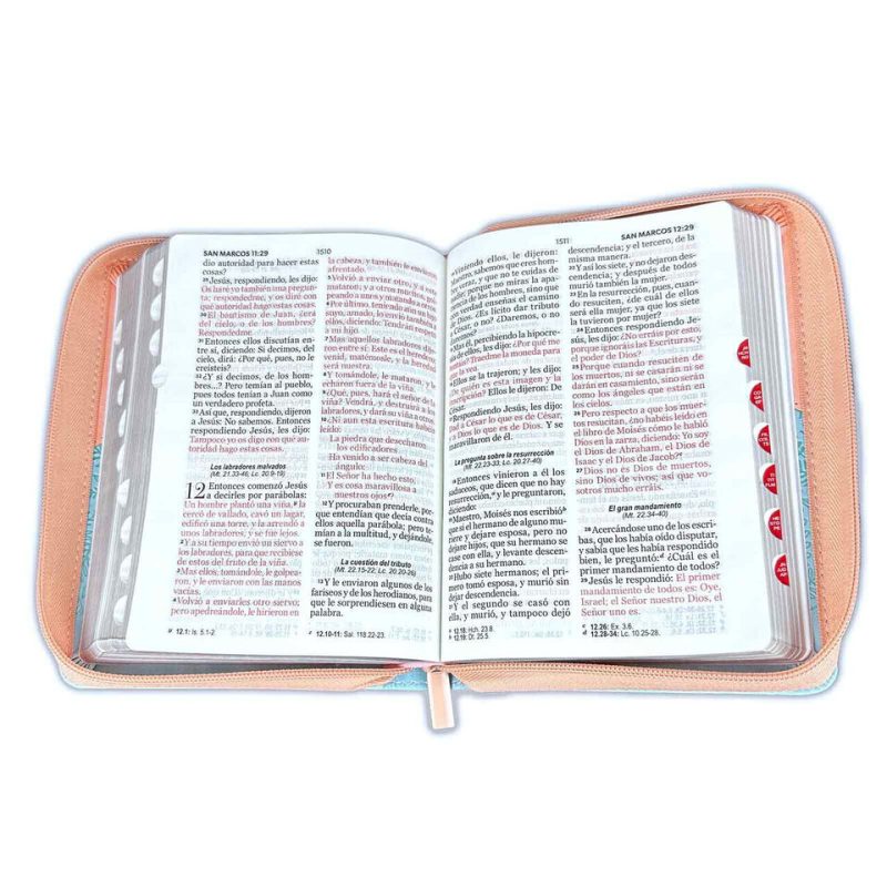 Biblia RVR60/045czti/LGi/PJR/Rosa/Azul Pájaros - Image 3