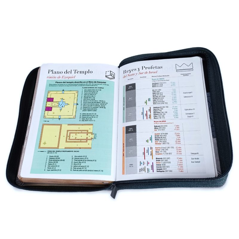 Biblia RVR60/045czti/LG/PJR/Tricolor Negro/Gris/Gris - Image 2