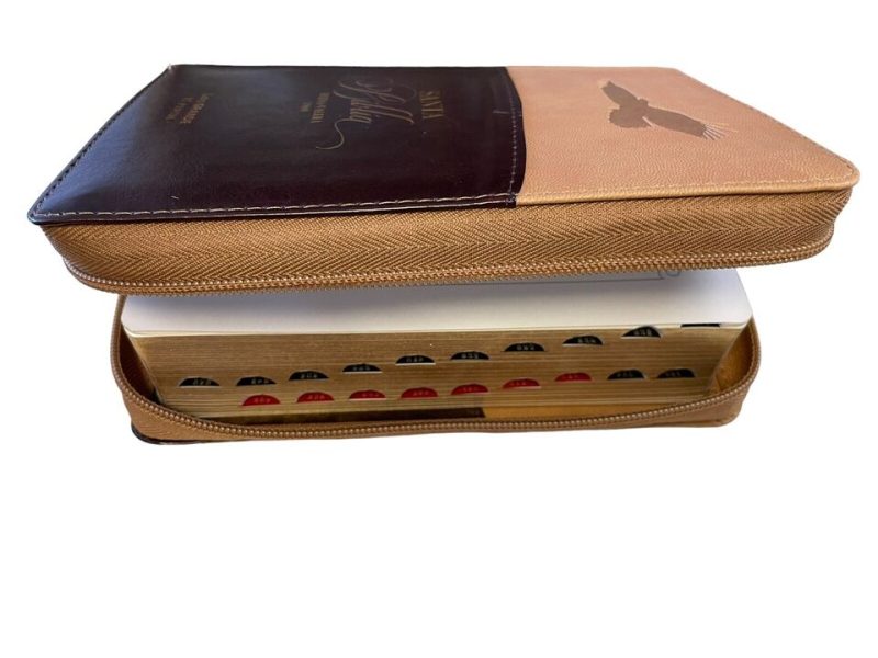 Biblia RVR60/045czti/LG/PJR/Exprésate 6 Águila - Image 2