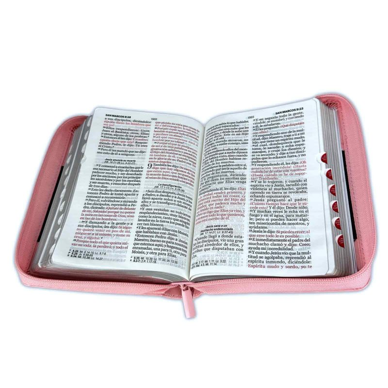 Biblia Reina Valera 1960 045 LG rosa/café - Image 2