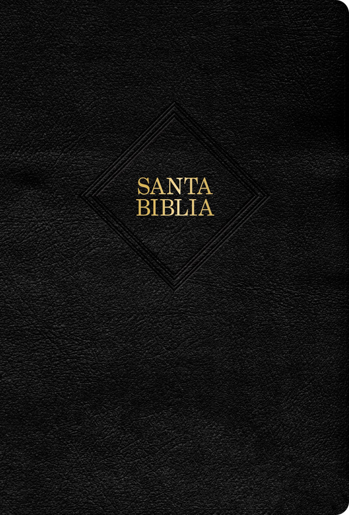 Biblia RVR 1960 Tamaño Manual Símil Piel Negra 1 Biblia RVR 1960 Tamaño Manual Símil Piel Negra