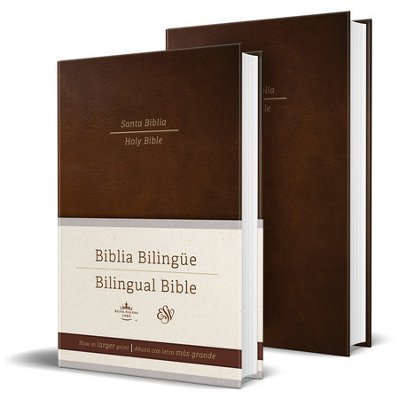 Biblia Bilingue RVR1960 Pasta Dura