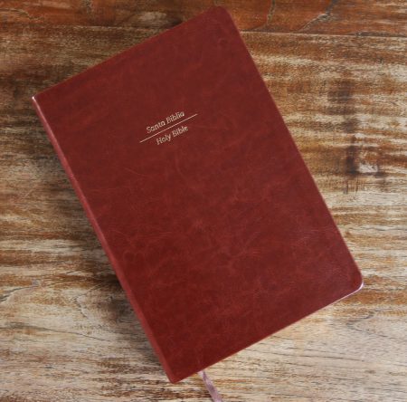 Biblia Bilingue RVR1960/English Standard Version/Letra Grande/Simipiel/Marron