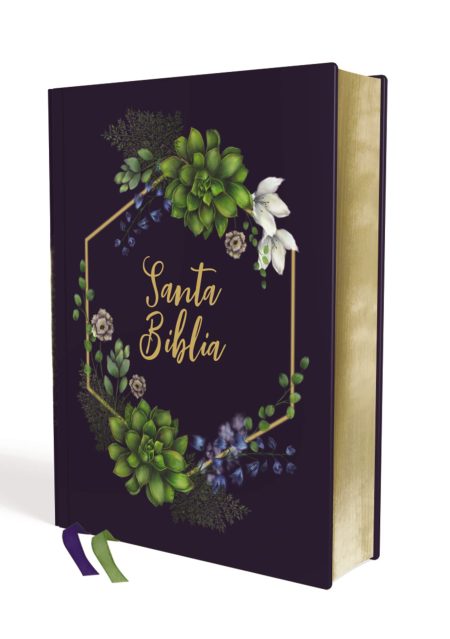 Biblia NVI Edición Artística Tapa Dura