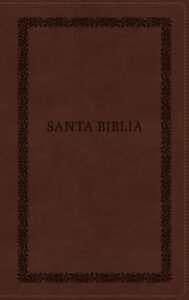 Biblia RVR60/ Tierra Santa/ Ultrafina letra grande