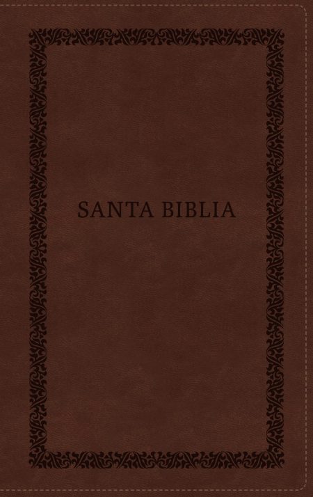 Biblia RVR60/ Tierra Santa/ Ultrafina letra grande
