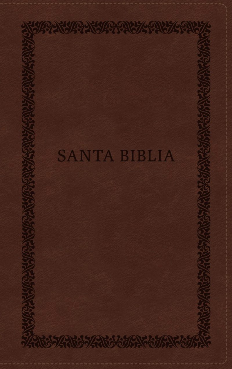 Biblia RVR60/ Tierra Santa/ Ultrafina letra grande