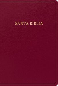 Biblia/RVR/1960 Letra/Grande Borgoña/2023