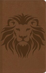 Biblia Visual De Estudio Para Niños NBLA/ Imitación/ Café