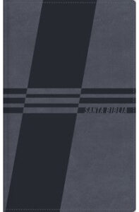 Biblia NBLA de Estudio para Jóvenes Azul Símil Piel