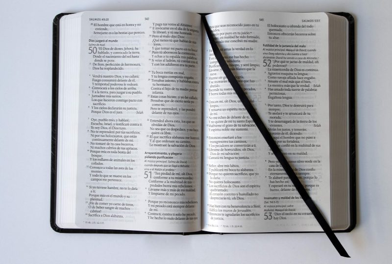 Biblia RVR 1960 Leon de Juda Tamaño Manual Tapa Dura - Image 3