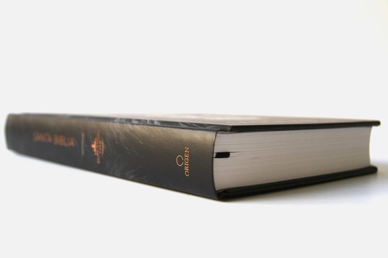 Biblia RVR 1960 Leon de Juda Tamaño Manual Tapa Dura - Image 2