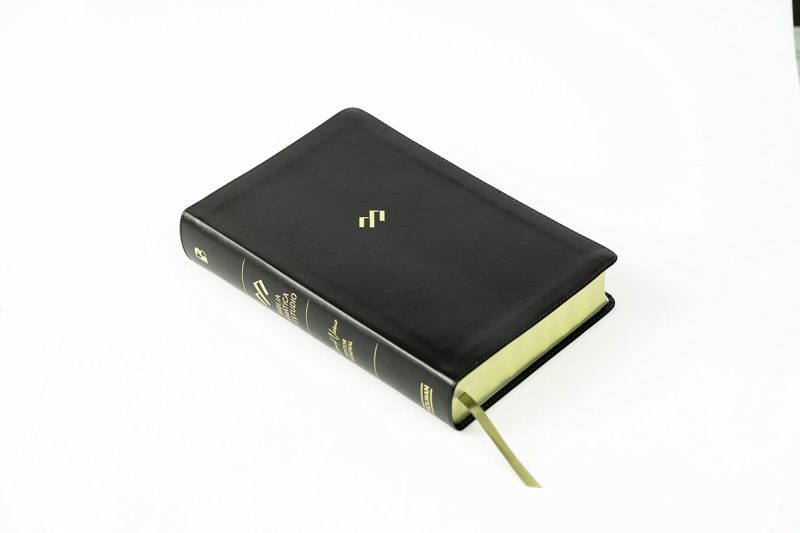 Biblia RVR 1960 de Estudio Temática Miguel Nuñez Símil Piel Negro / Caja Golpeada - Image 5