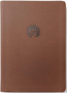 La Biblia de Estudio de La Reforma Café