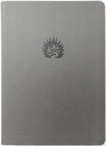 La Biblia de Estudio de La Reforma Gris