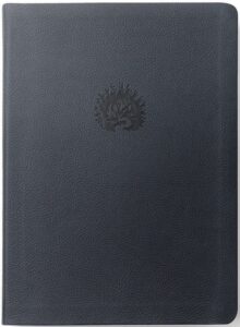 La Biblia de Estudio de La Reforma simil piel Azul