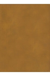 Biblia RVR 1960 Ilustrada Tierra Santa Café Símil Piel