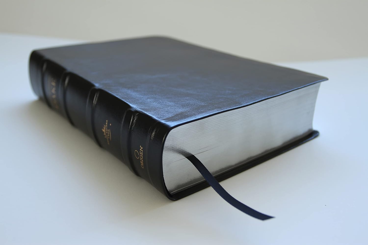 RVR 1960 de Estudio Dake Negra Piel 5 RVR 1960 Biblia de estudio Dake, tamaño grande, piel negra / Spanish RVR 1960 Dake Study Bible, Large Size, Black Leather (Spanish Edition)
