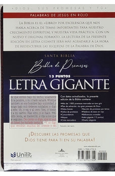 Biblia RVR 1960 de Promesas Letra Gigante Marron Líneas Simil Piel 5 Biblia RVR 1960 de Promesas Letra Gigante Marron Líneas Simil Piel - Image 5
