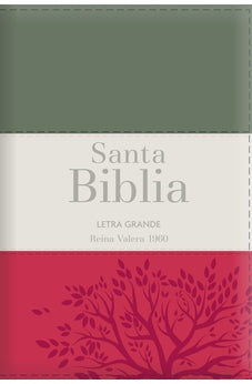 Biblia RVR 1960 Letra Grande Tamaño Manual Tricolor Gris Crema Rojo con Cierre con Índice