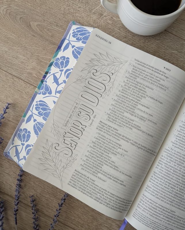 Biblia Inspira NTV letra grande con Filament SentiPiel Ramo azul 7