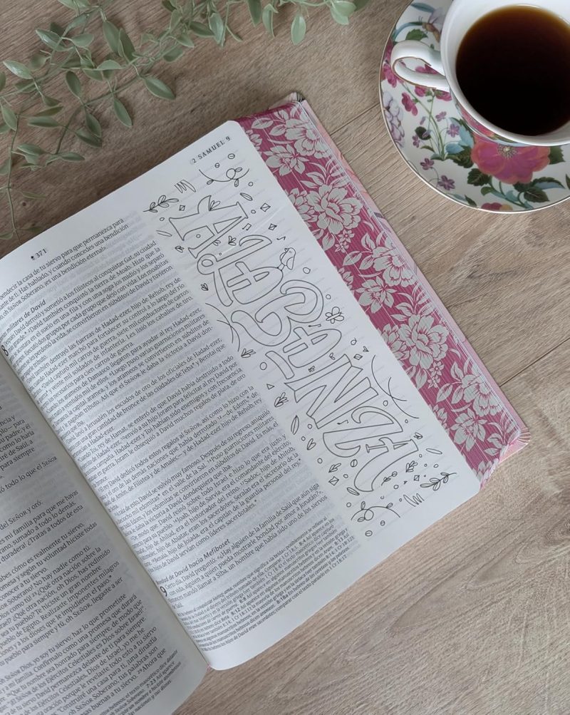 Biblia Inspira NTV ( Letra Grande con Filament) Color Rosa Primaveral - Image 4