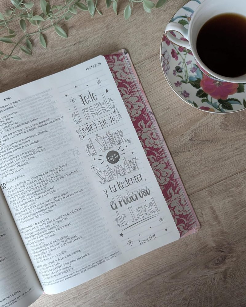 Biblia Inspira NTV ( Letra Grande con Filament) Color Rosa Primaveral - Image 2