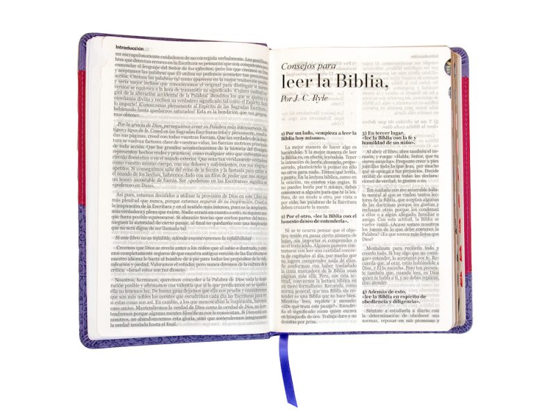 Biblia RVR 1960 Letra Grande Tamaño Manual Símil Piel Duotone Lila Morado con Índice - Image 5