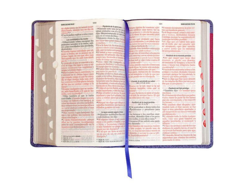 Biblia RVR 1960 Letra Grande Tamaño Manual Símil Piel Duotone Lila Morado con Índice - Image 4