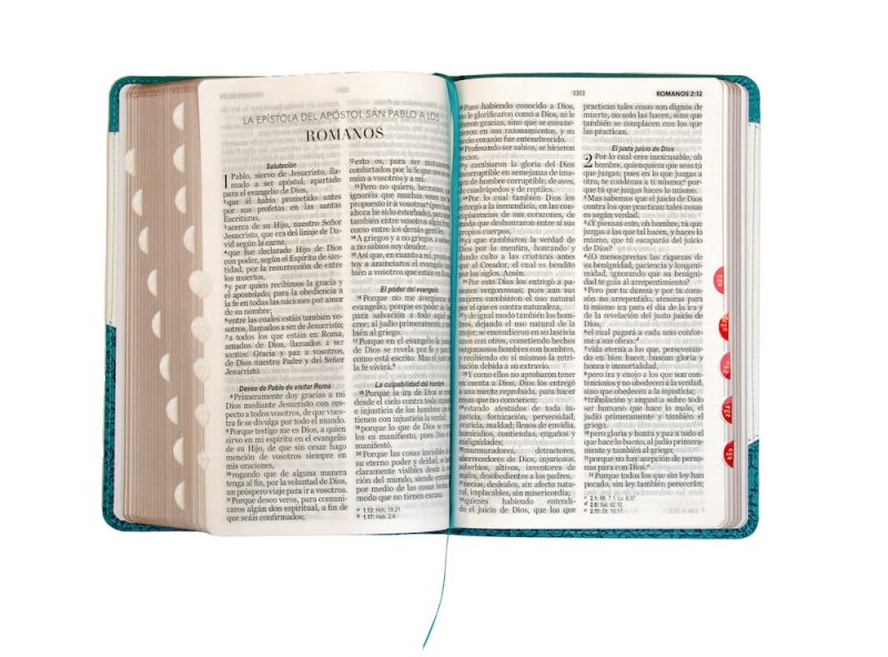 Biblia RVR 1960 Letra Grande Tamaño Manual Símil Piel Duotone Turquesa Blanco con Índice con Cierre - Image 4