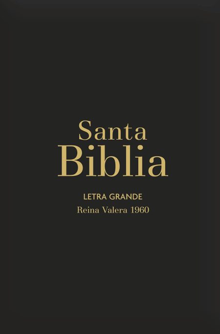 Biblia RVR 1960 Letra Grande Tamaño Manual Negro Vinilo
