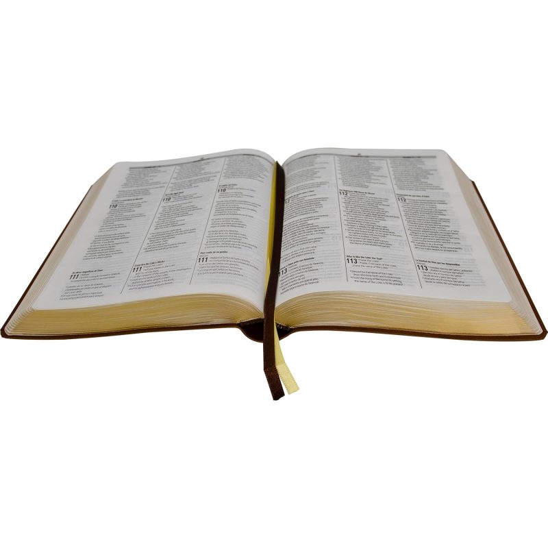 Biblia Trilíngue Português English Español NAA ESV RVC Marrón Símil Piel - Image 4