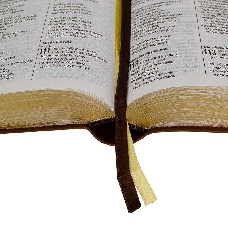 Biblia Trilíngue Português English Español NAA ESV RVC Marrón Símil Piel - Image 2