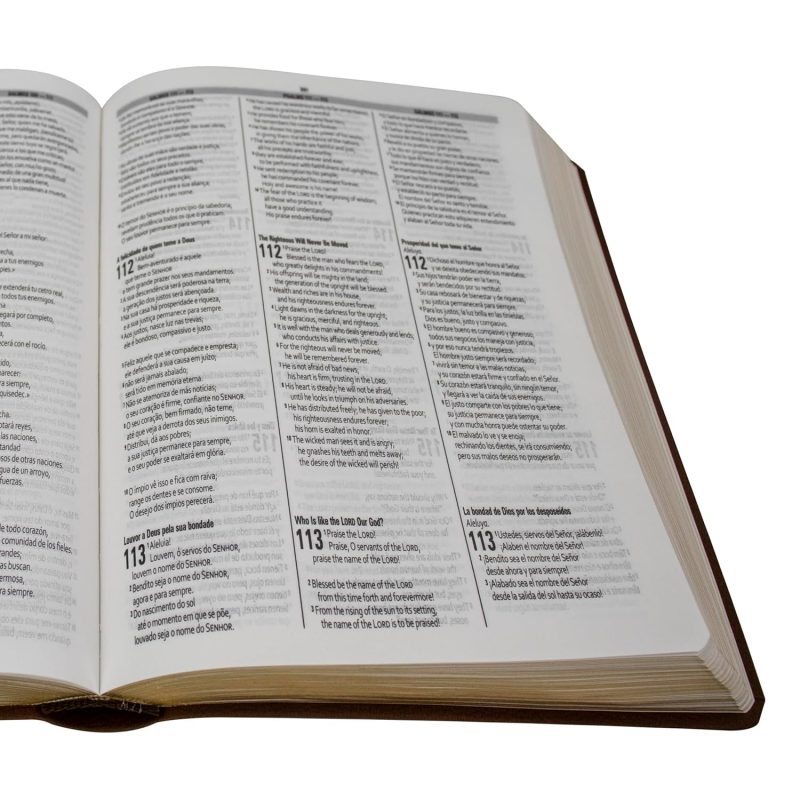 Biblia Trilíngue Português English Español NAA ESV RVC Marrón Símil Piel - Image 3