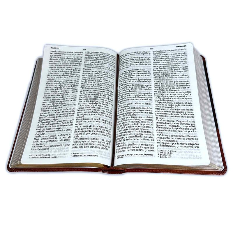 Biblia RVR 1960 Letra Grande Tamaño Manual Símil Piel Marrón Marrón - Image 2
