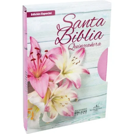 Biblia RVR 1960 Fuente de Bendiciónes y Concordancia Biblia para Quinceañeras Rosa Canto Plateado Índice y Cierre