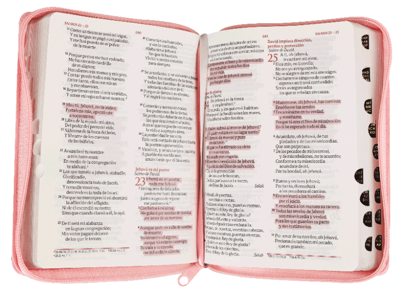 Biblia RVR 1960 Fuente de Bendiciónes y Concordancia Biblia para Quinceañeras Rosa Canto Plateado Índice y Cierre - Image 3