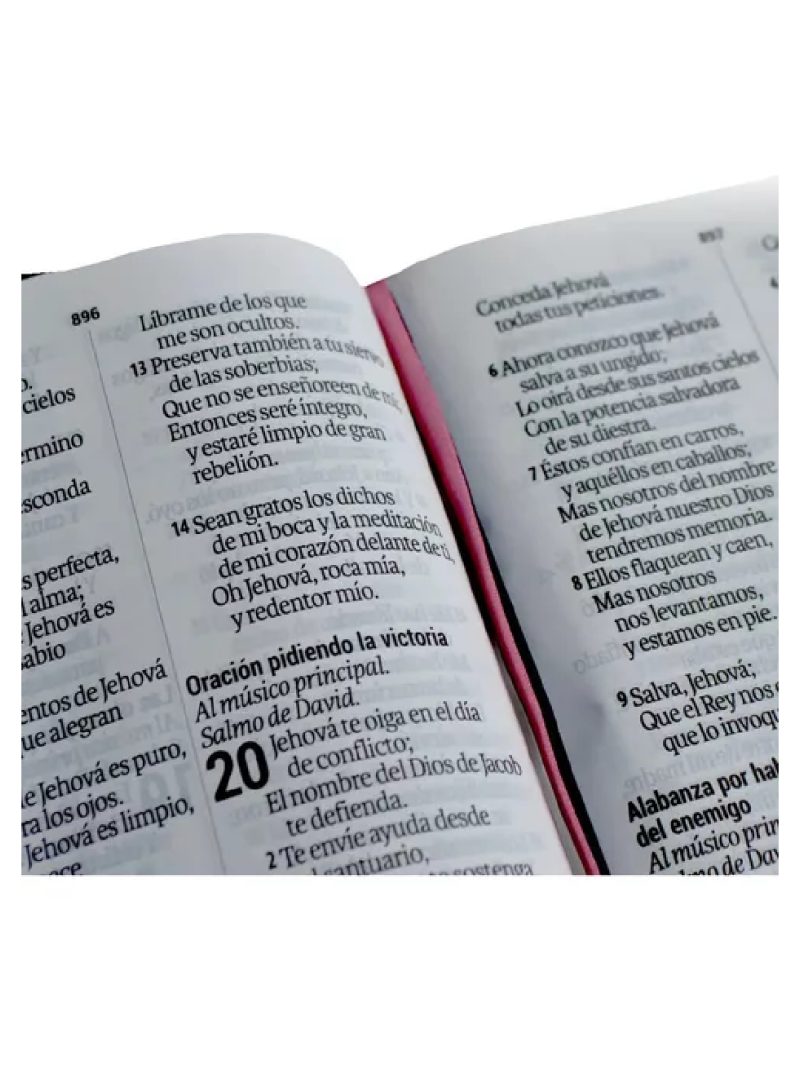 Biblia RVR 1960 Letra Grande Compacta 11 puntos Azul Flores Símil Piel con Índice con Cierre - Image 2