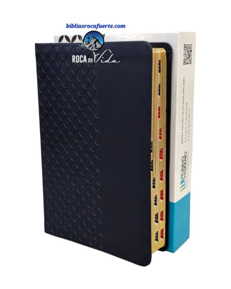 Biblia RVA 2015 Letra Grande Índice